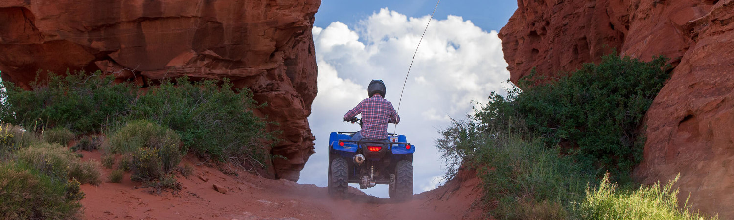 2020 Honda® Fourtrax Foreman 4X4 for sale in Honda® Powersports of Santa Maria, Santa Maria, California